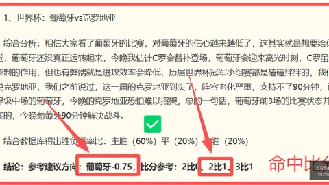 【暴力篮球】勿错过！请珍惜！